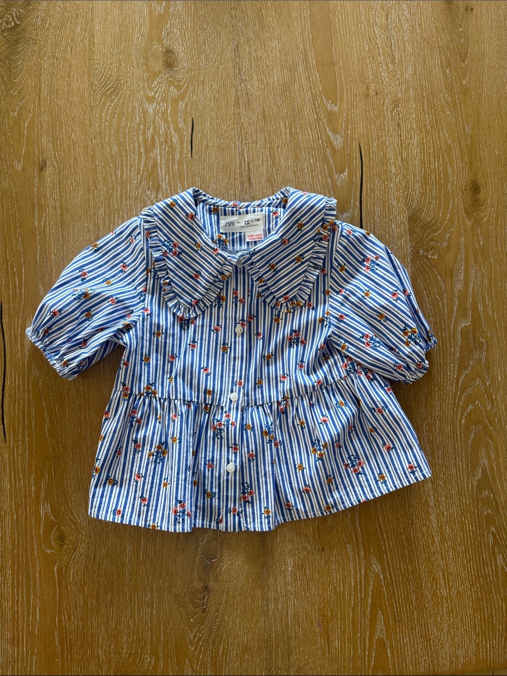 Zara Blue Striped Floral Peter Pan Collar Top